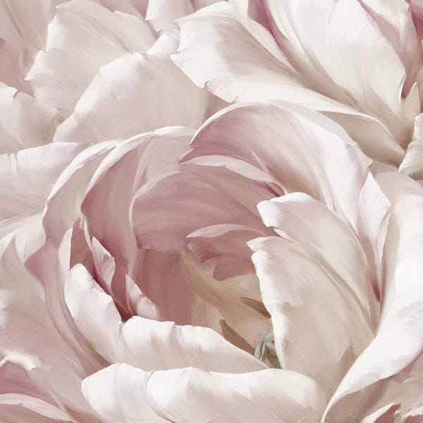 Floral Close-Ups: Intimate Blush II by Igor Levashov