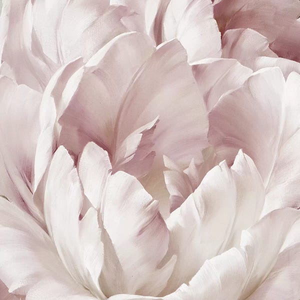 Igor Levashov: Intimate Blush III by Igor Levashov