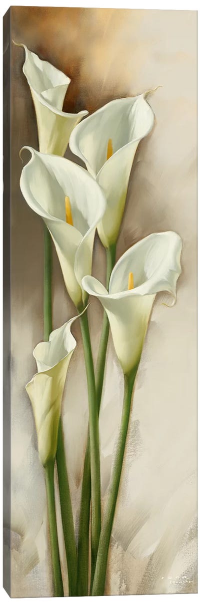 Callas Gracieux I Canvas Art Print - Lily Art