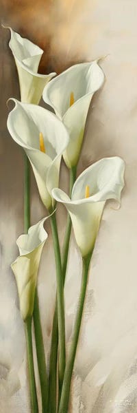 Lilies: Callas Gracieux I by Igor Levashov