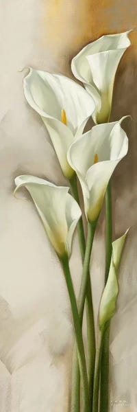Lilies: Callas Gracieux II by Igor Levashov