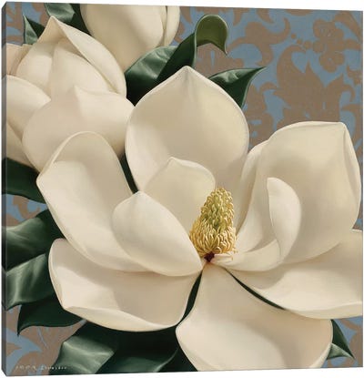 Dolce Magnolia Canvas Art Print