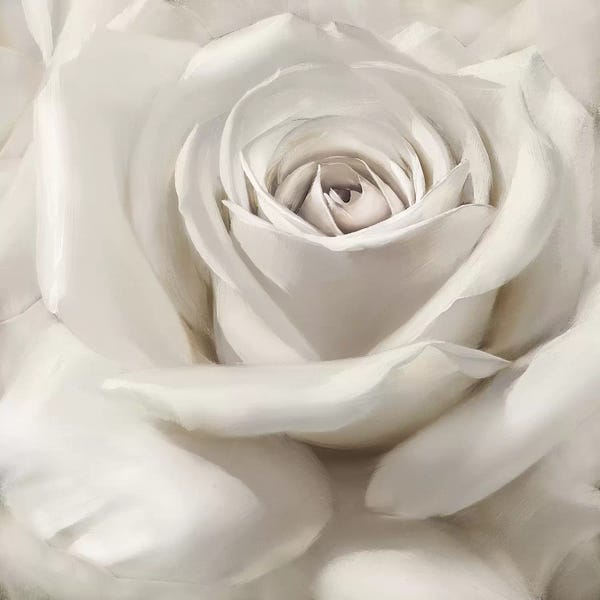 Galaxy Of Graphics: Dreamy II by Igor Levashov