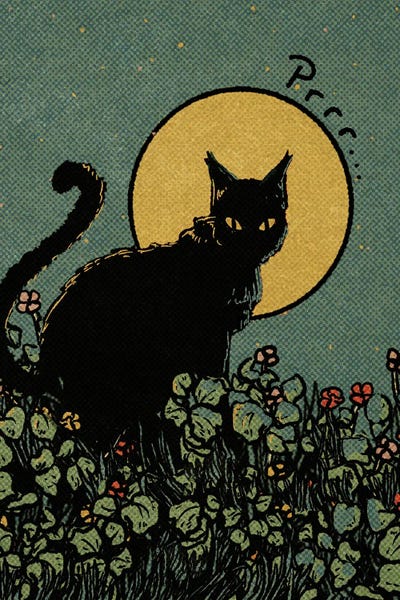 Black Cats: Cat by Illunatica