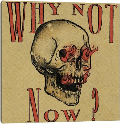 Why Not Now Canvas Art Print - Walls That Talk