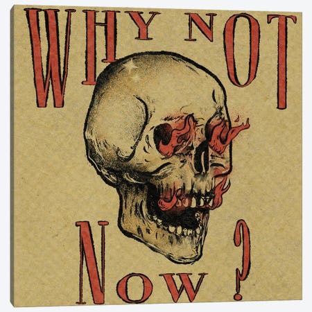 Why Not Now Canvas Print #ILN52} by Illunatica Art Print