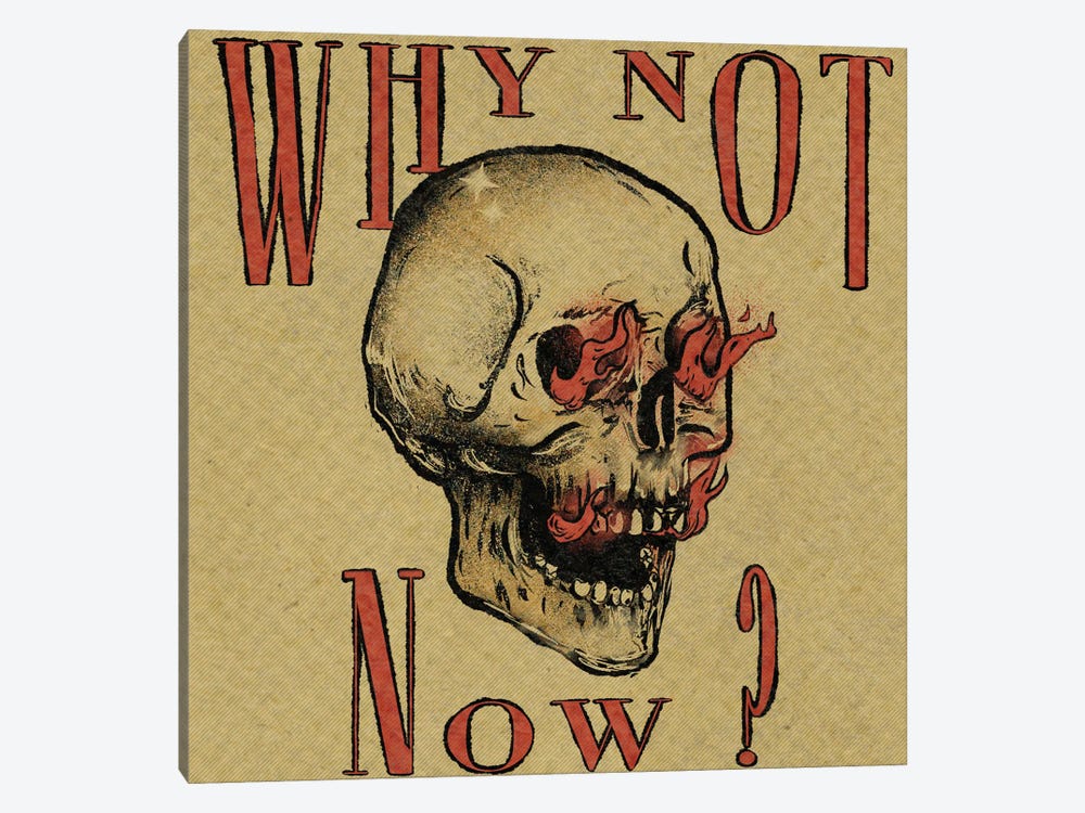 Why Not Now by Illunatica 1-piece Canvas Art