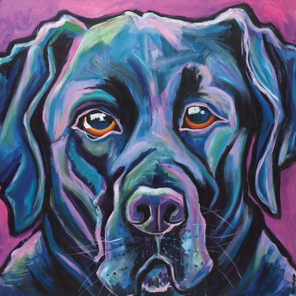 Ilene Richard: Black Lab by Ilene Richard