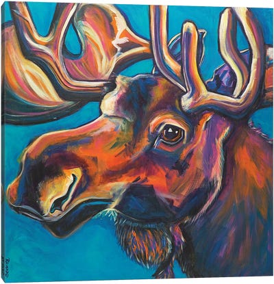 Moose Canvas Art Print - Ilene Richard