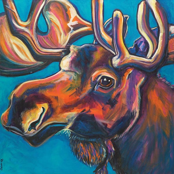 Ilene Richard: Moose by Ilene Richard