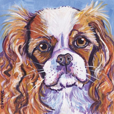 King Charles by Ilene Richard metal wall art