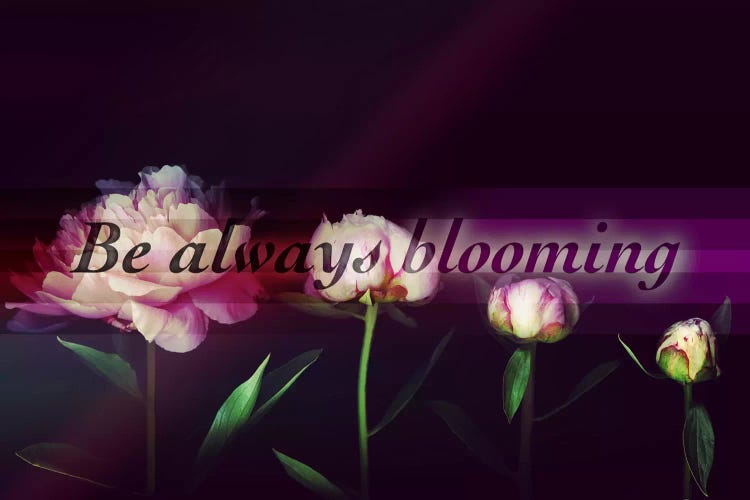 Always Blooming