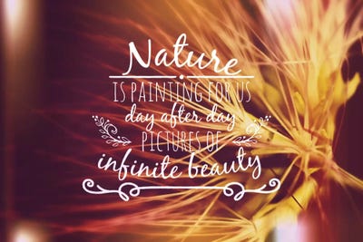 Pictures of Inifinte Beauty by 5by5collective framed canvas print