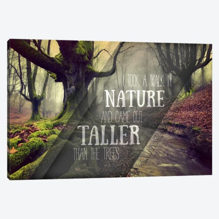 Taller Than the Trees Canvas Print #ILS23} by 5by5collective Canvas Art Print