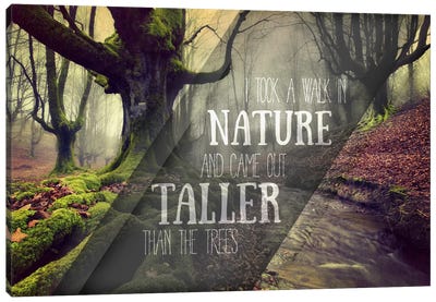 Taller Than the Trees Canvas Art Print - By Sentiment