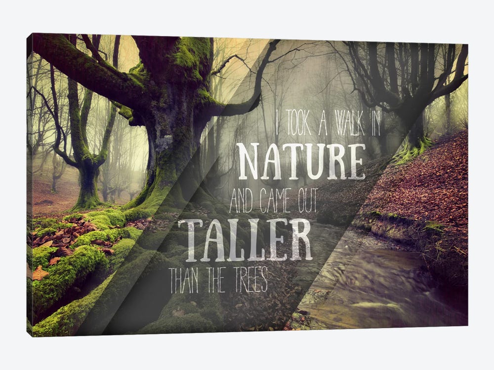 Taller Than the Trees by 5by5collective 1-piece Canvas Wall Art