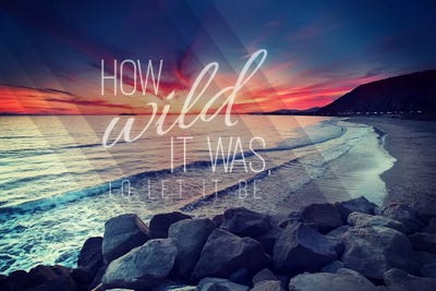 How Wild by 5by5collective framed canvas print