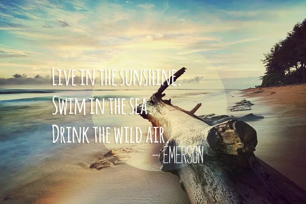 Adventure: Live in the Sunshine by 5by5collective