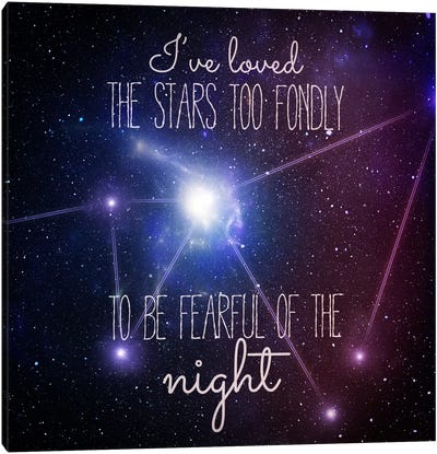 Loving the Stars Canvas Art Print - Night Sky Art