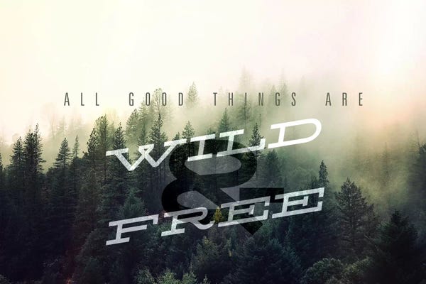 Evergreen Trees: Wild and Free by 5by5collective