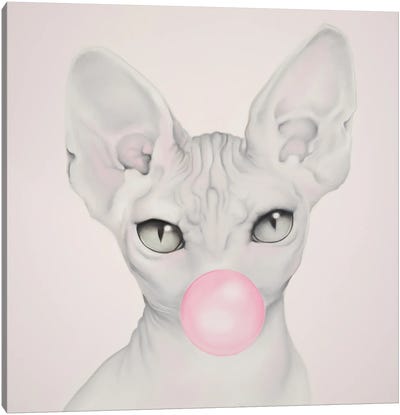System Error Canvas Art Print - Hairless Cat Art
