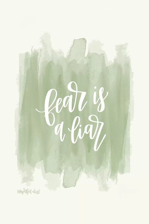 Fear is a Liar by Imperfect Dust wall art