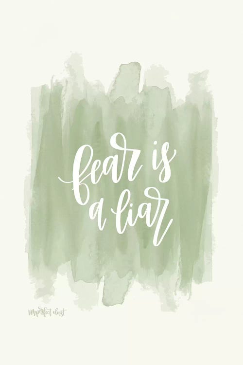Fear is a Liar by Imperfect Dust wall art