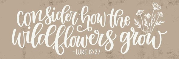 Consider How The Wildflowers Grow