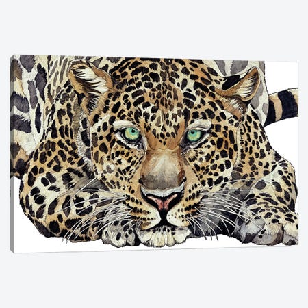 Leopard Canvas Print #IMN11} by Irene Meniconi Canvas Artwork