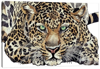 Leopard Canvas Art Print - Irene Meniconi