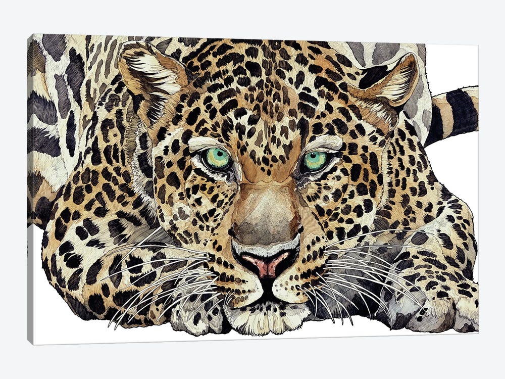 Leopard by Irene Meniconi 1-piece Canvas Print