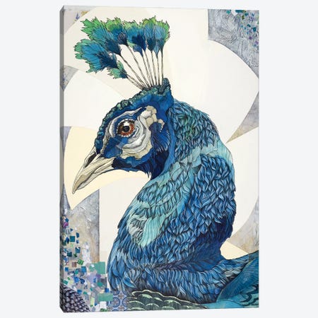 Peacock II Canvas Print #IMN13} by Irene Meniconi Canvas Artwork