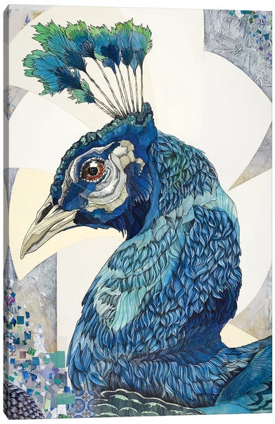 Peacock II Canvas Art Print - Irene Meniconi