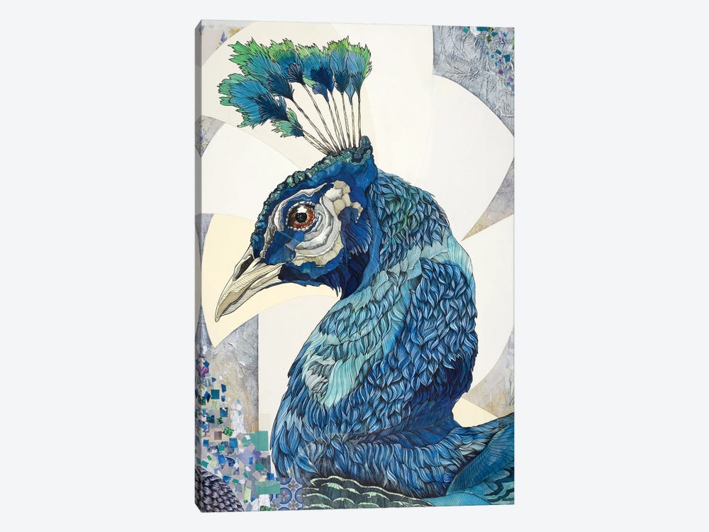 Peacock II by Irene Meniconi 1-piece Canvas Art Print