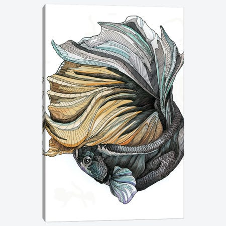 Siamese Fighting Fish II Canvas Print #IMN14} by Irene Meniconi Art Print