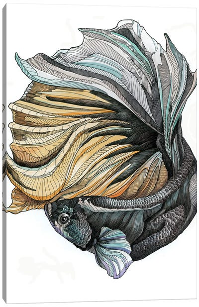 Siamese Fighting Fish II Canvas Art Print - Irene Meniconi