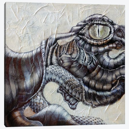 Reptile Canvas Print #IMN15} by Irene Meniconi Canvas Art Print
