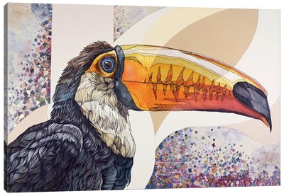 Toucan Canvas Art Print - Irene Meniconi
