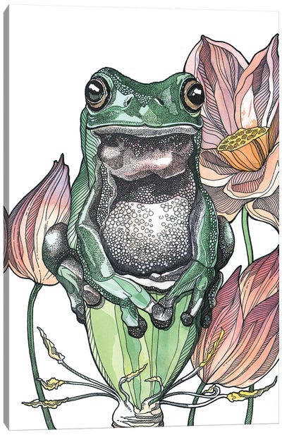 Tree Frog And Lotus Canvas Art Print - Irene Meniconi