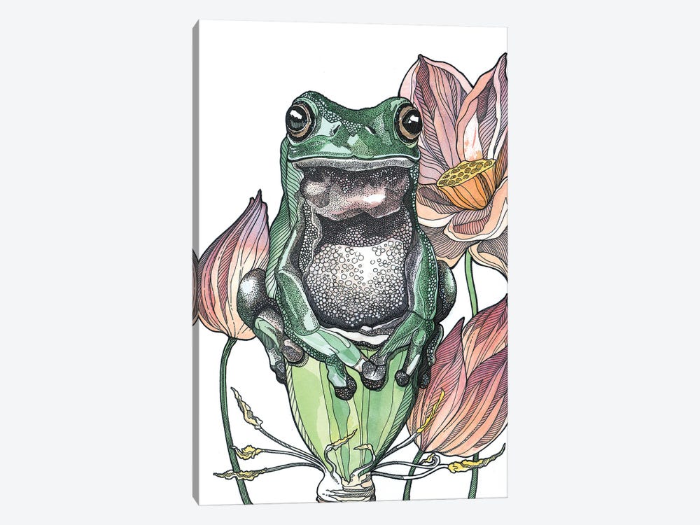 Tree Frog And Lotus by Irene Meniconi 1-piece Canvas Art Print