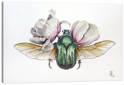 Cetonia Aurata And Tulips Canvas Art Print - Beetle Art