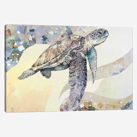 Sea Turtle Canvas Print #IMN23} by Irene Meniconi Canvas Art Print