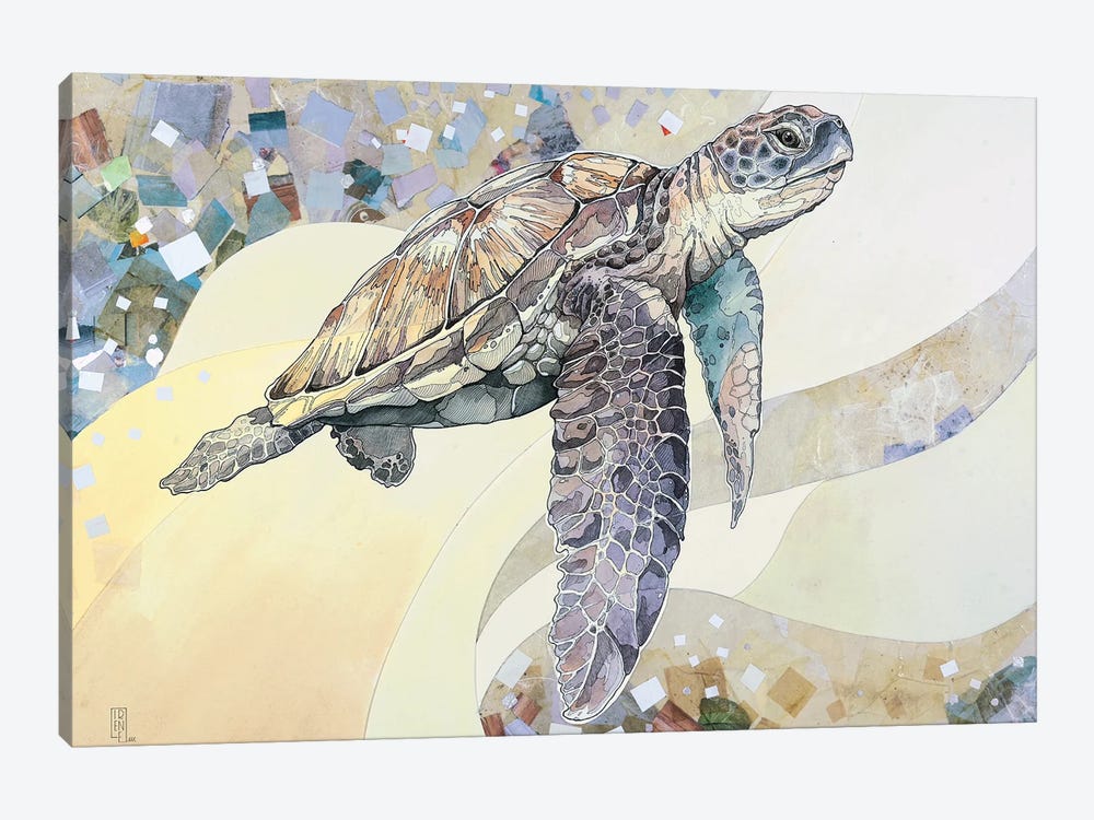 Sea Turtle by Irene Meniconi 1-piece Canvas Art