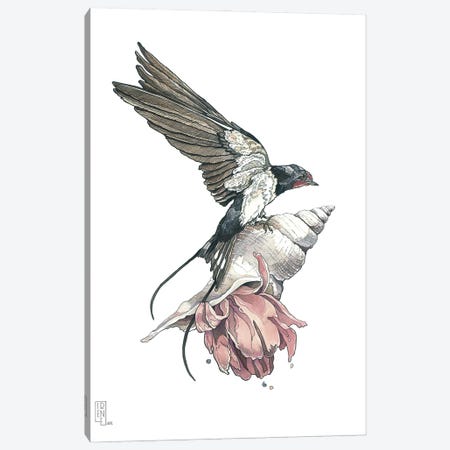 Swallow Canvas Print #IMN24} by Irene Meniconi Canvas Wall Art