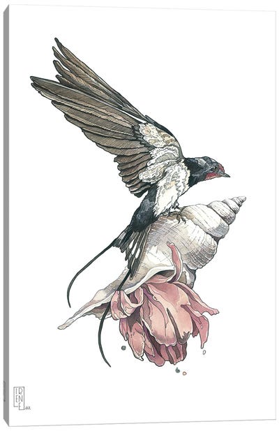 Swallow Canvas Art Print - Irene Meniconi