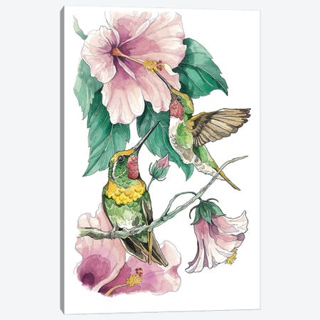 Hummingbirds And Hibiscus Canvas Print #IMN26} by Irene Meniconi Canvas Artwork
