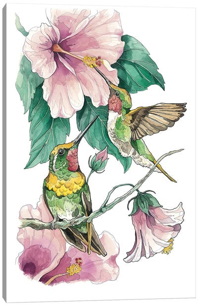 Hummingbirds And Hibiscus Canvas Art Print - Irene Meniconi
