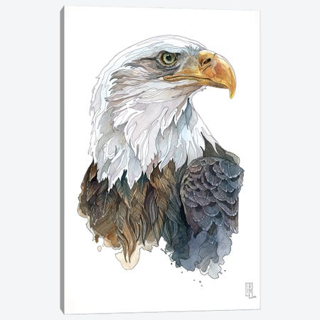 Bald Eagle Canvas Print #IMN35} by Irene Meniconi Canvas Print