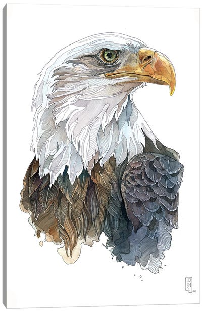 Bald Eagle Canvas Art Print - Irene Meniconi