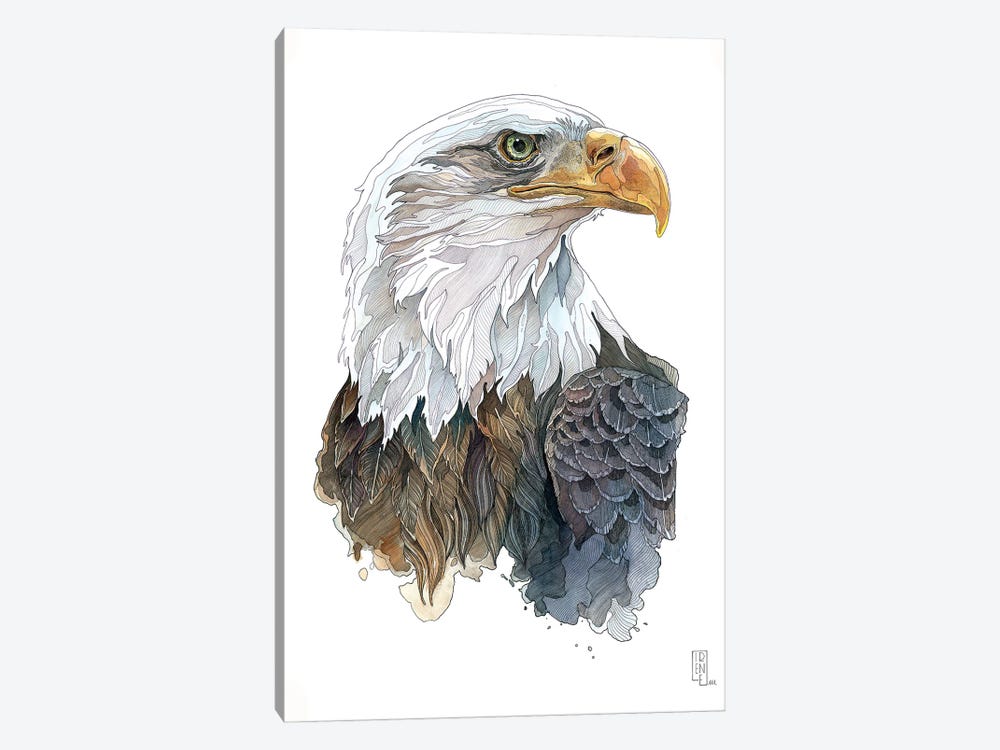 Bald Eagle by Irene Meniconi 1-piece Canvas Art Print